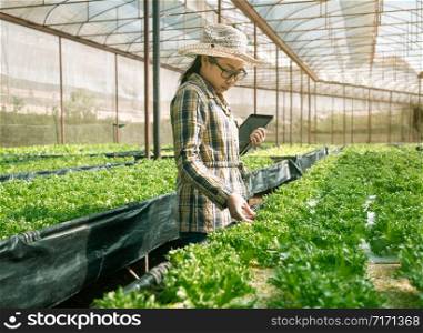 Asian young female farmer using tablet in organic vegetable salad farm in greenhouse. Farmer using tablet computer worked in agricultural field.