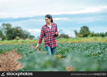 Asian young female farmer with a tablet in her hands examines the green field. Modern technologies in agriculture management and agribusiness concept.