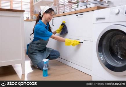Asian young woman cleaning dishwasher in the kitchen. housework concept