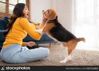 Asian young woman with beagle dog with dog training activities to obey commands in the living room of the house