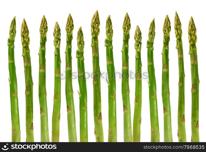 Asparagus group of green healthy vegetables organized in a row isolated on a white background as a food concept of health diet and living a natural fit well nourished life.
