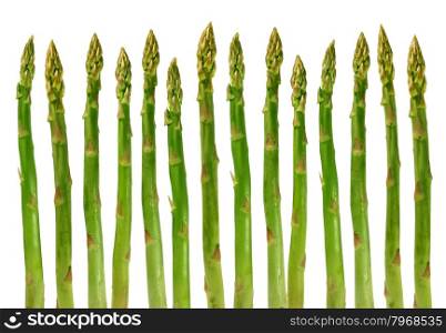 Asparagus group of green healthy vegetables organized in a row isolated on a white background as a food concept of health diet and living a natural fit well nourished life.
