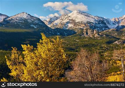 Aspen grove at autumn in Rocky Mountains. Aspen grove at autumn. Rocky Mountain National Park. Colorado, USA.