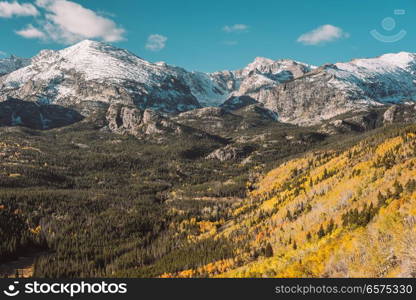 Aspen grove at autumn. Rocky Mountain National Park. Colorado, USA. 