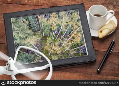 aspen grove in Colorado&rsquo;s Rocky Mountains- reviewing aerial picture on a digital tablet with coffee and drone