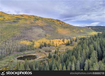 aspen trees in fall colors at Kenosha Pass in Colorado, aerial view