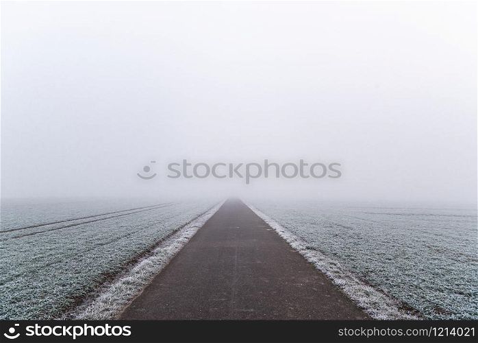 Asphalt alley through agricultural fields in south Germany, near the city Stuttgart. Dense mist and frost-covered fields on a cold day of winter