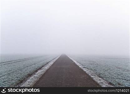 Asphalt alley through agricultural fields in south Germany, near the city Stuttgart. Dense mist and frost-covered fields on a cold day of winter