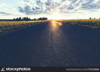 Asphalt country road, a grass field and sunset. Summertime. Travel concept.. Asphalt country road, a grass field and sunset.