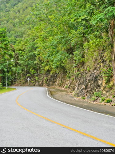 Asphalt curved road in tropical rain forest