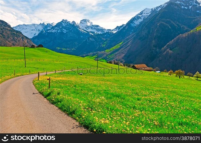 Asphalt Path Leading to the Farmhouse on the Alpine Pasture