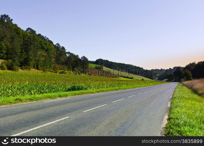 Asphalt Road along the Corn Plantation in France