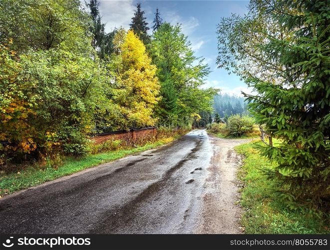 Asphalt road among autumn trees in the village