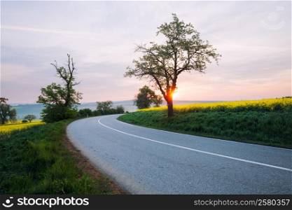 Asphalt road at sunrise