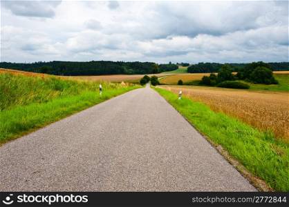 Asphalt Road between Corn and Wheat Fields in Bavaria, Germany