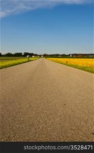 Asphalt Road Between Corn and Wheat Fields in Bavaria, Germany