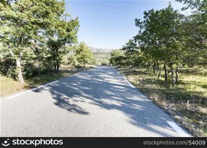 Asphalt road between forests and pastures in Provence-Alpes-CA?te d'Azur region in southeastern France.