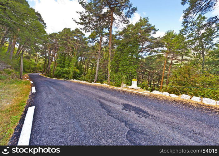 Asphalt road between forests in Provence-Alpes-Cote d Azur region in southeastern France.