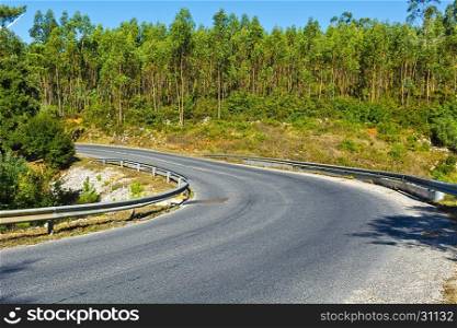 Asphalt Road between Hills Covered with Forest in Portugal