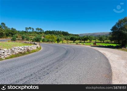 Asphalt Road between Hills Covered with Olive Groves in Portugal