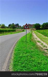 Asphalt Road between Vineyards on the Background of the Italian City