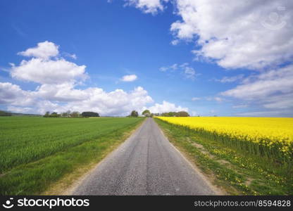 Asphalt road in a rural landscape with green and yellow fields and rapeseed flowers