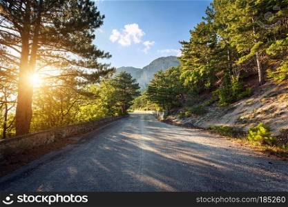 Asphalt road in summer forest at sunset. Crimean mountains. 