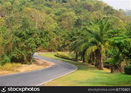 asphalt road in thai jungle