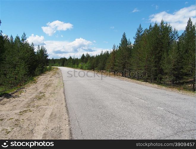 asphalt road in the forest