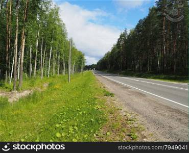 asphalt road in the forest