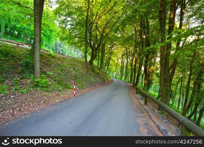 Asphalt Road in the Forest, Italian Alps
