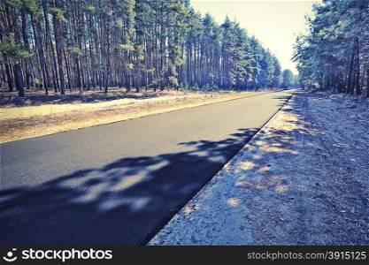 Asphalt road in the green forest toned in light green. Asphalt road in the green forest