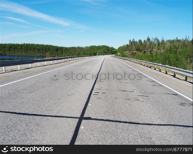 asphalt road in the woods