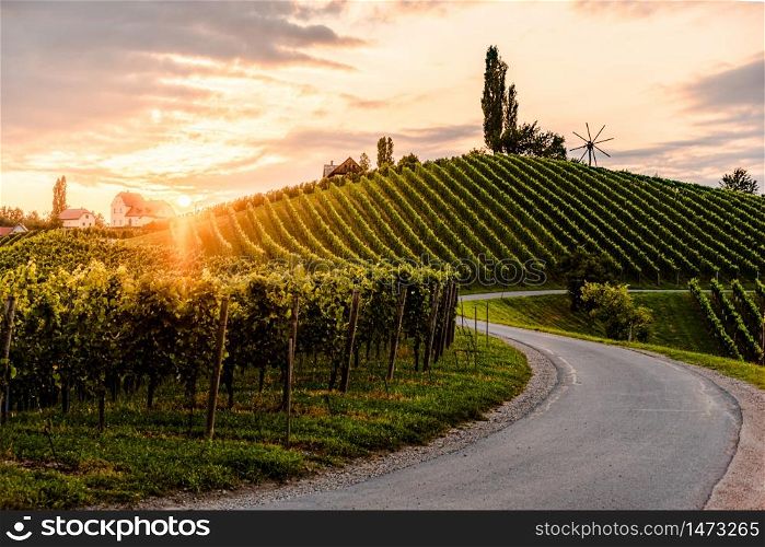 Asphalt road leading through country side of south Austrian Vineyards in south styria. Sunset view at grape hills.. Asphalt road leading through country side of south Austrian Vineyards