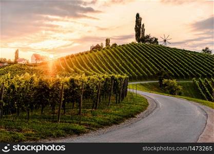 Asphalt road leading through country side of south Austrian Vineyards in south styria. Sunset view at grape hills.. Asphalt road leading through country side of south Austrian Vineyards
