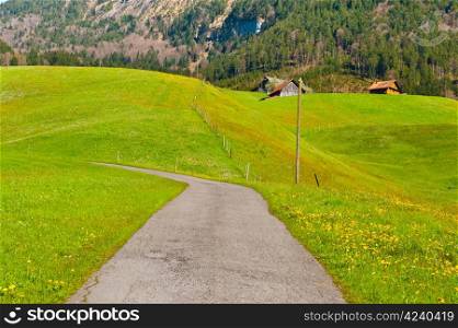 Asphalt Road Leading to the Farmhouse in the Swiss Alps
