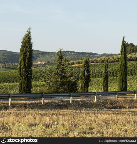 Asphalt road leading to the Italian wine farm surrounded with plowed sloping hills of Tuscany in the autumn. Rural landscape with vineyard, olive trees and fields after harvest.