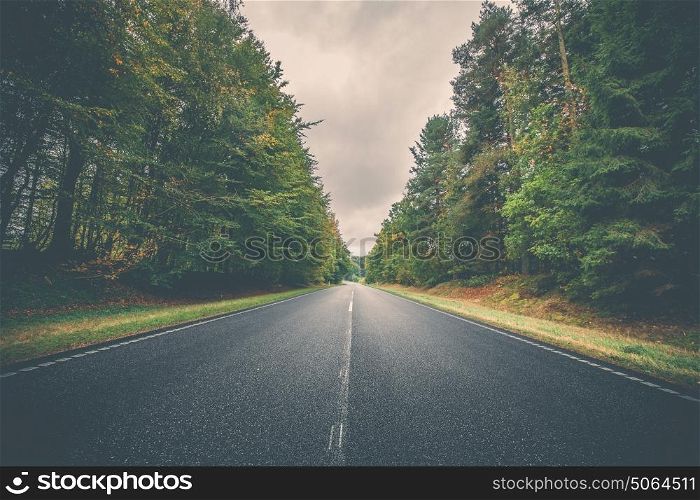 Asphalt road surrounded by colorful trees in autumn