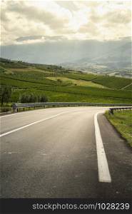 Asphalt road, vineyards and olive trees in countryside. Wine and food travel concept. Italian agriculture.