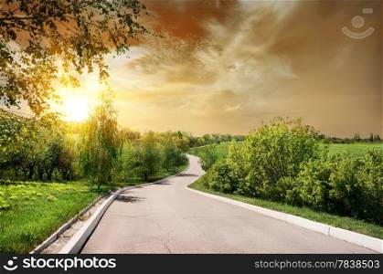 Asphalted road and birches at the sunset