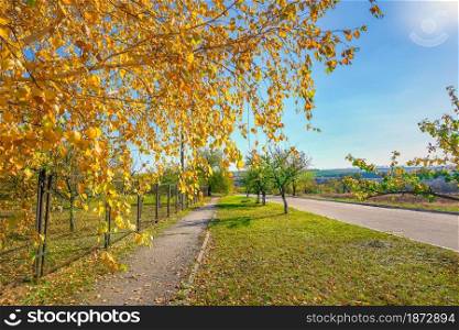 Asphalted roads to countryside in bright autumn. Roads in autumn