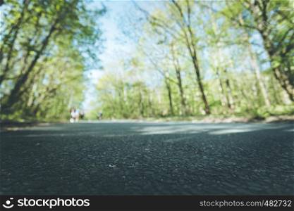Asphalted street in the forest: Close up perspective, blurry background