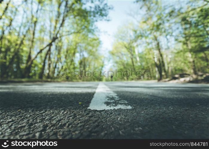 Asphalted street in the forest: Close up perspective, blurry background