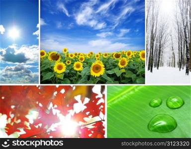 Assembling of beautiful seasonal pictures of nature
