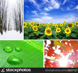 Assembling of beautiful seasonal pictures of nature