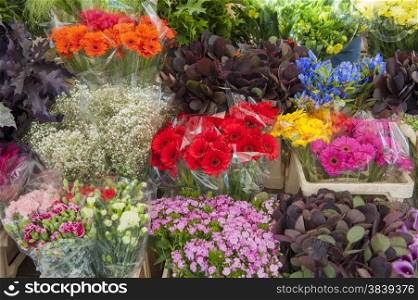 Assorted arrangement of cut flowers in a market stall