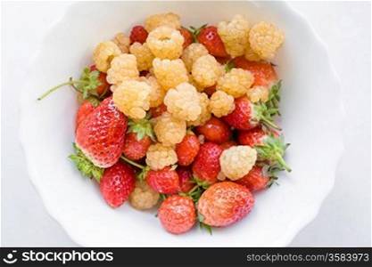 Assorted berries in bowl on white background