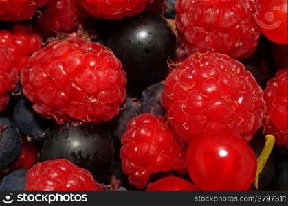 Assorted berries (raspberries, black and red currants) as background