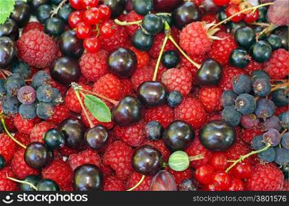Assorted berries (raspberries, black and red currants, Saskatoon, cherry, gooseberry) as background