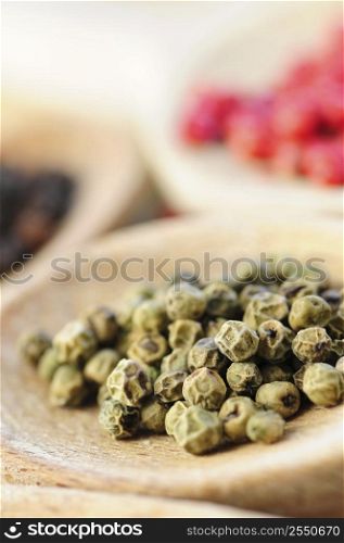 Assorted colorful peppercorns in wooden cooking spoons macro